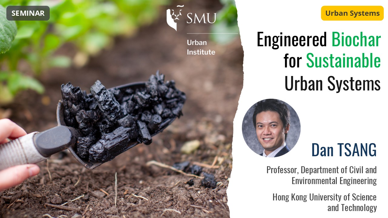Image of Engineered Biochar for Sustainable Urban Systems